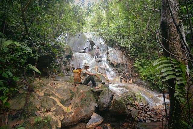 3-Day Survival and Leuser Ecosystem Tour