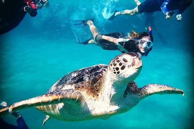 Full-Day Private Trip in Abu Dabbab Beach and Marsa National Park