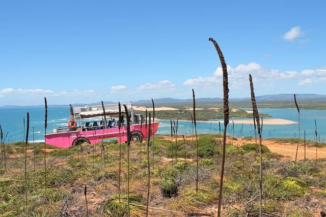 Full-Day 1770 Tour by LARC Amphibious Vehicle Including Sandboarding and Bustard Head Lightstation