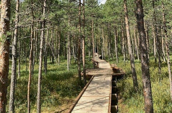 Lapland Forest Adventures in Rovaniemi