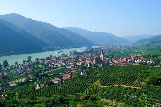 Private Premium Wine Day: 2000 Years of Austrian Wine in Wachau