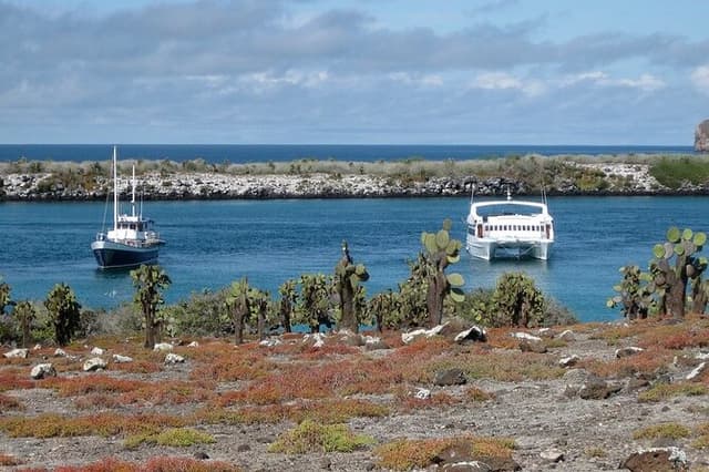 South Plazas and Punta Carrion Day Tour:Land Iguanas & Snorkeling