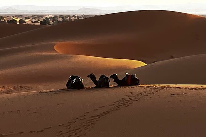 Unforgettable Sahara Journey: Fes to Marrakech Tours