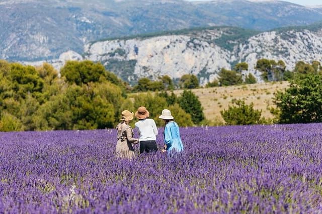 Private Tour of Gorges of Verdon and Fields of Lavender in Nice