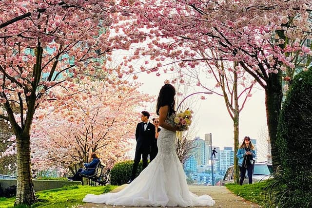 Vancouver City Tour with Cherry Blossom Festival Private