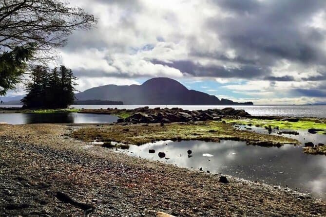 Best Ketchikan Wildlife Tours & Alaskan Nature Adventures