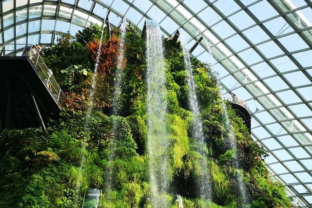 Private Singapore Night Tour with Gardens by the Bay&River Cruise
