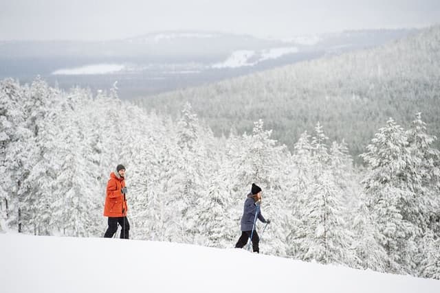 Premium Wilderness Skiing in Pyhä-Luosto National Park