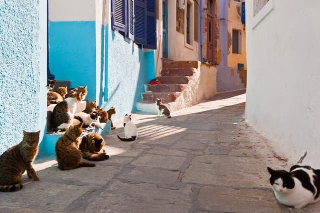 Day Trip to Nisyros Island
