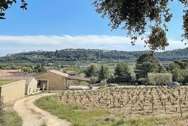 Tasting Bandol Wines & Visit of Cellar (in English)
