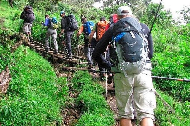Kilimanjaro Day Hike Experience from Arusha – Marangu Route