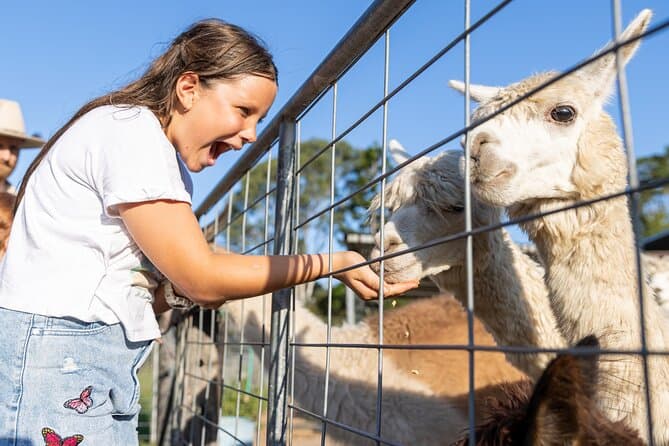 Trevena Glen Animal Tour