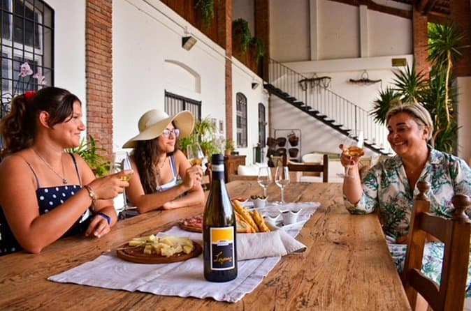 Compare Best Valpolicella Wine Tours from Lake Garda