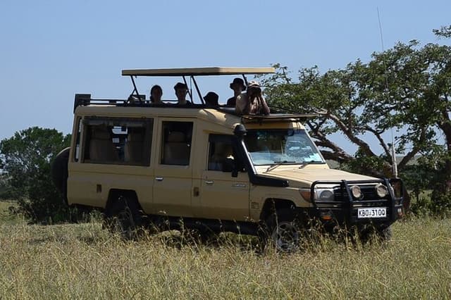 Nairobi Park Wildlife Safari