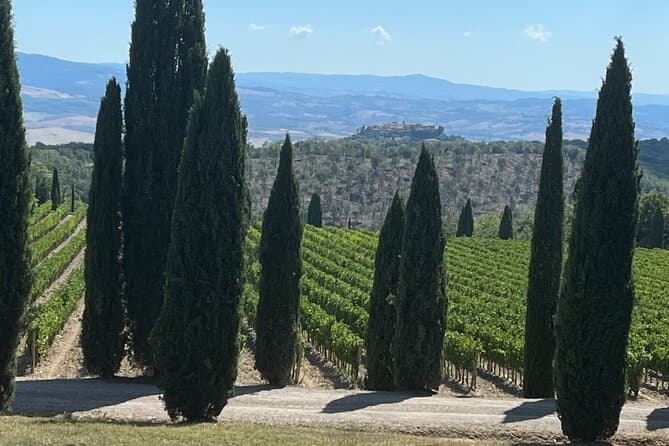 Compare Best Brunello Wine Tours in Siena