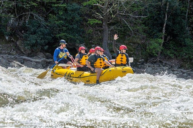 Best Kayak Tours on French Broad River