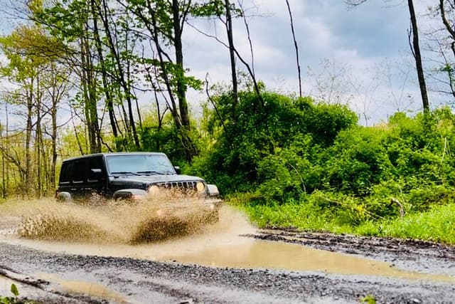 New River Gorge Jeep Tour (Half Day)