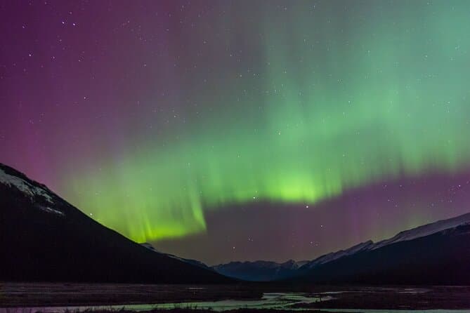 Stargazing & Dark Sky Tours in Jasper