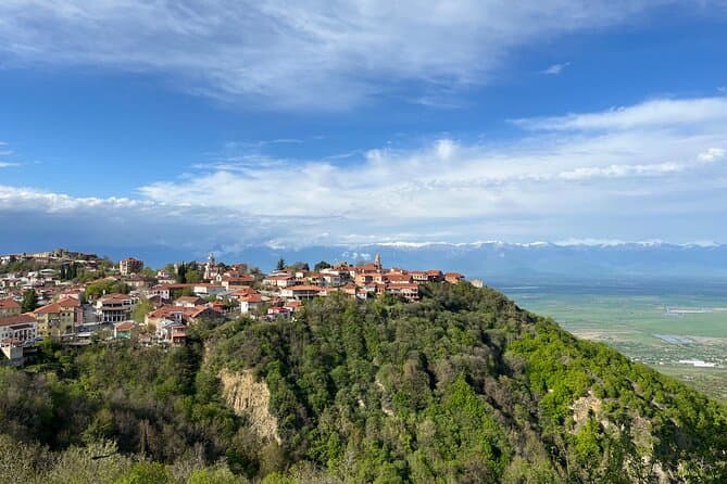 Best Sighnaghi Day Tour from Tbilisi: Wine & History
