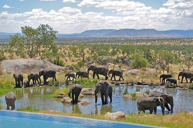 Best Rated Overland Adventures in Cape Town