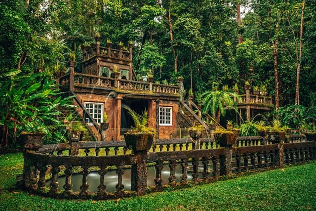 Afternoon & Evening Tour of Paronella Park