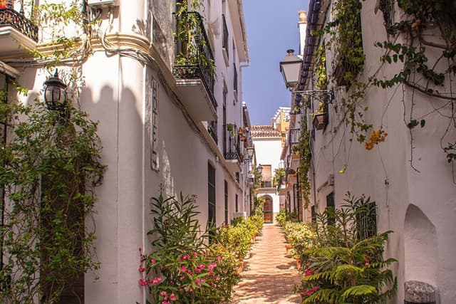 Private Custom Tour With a Local Guide Marbella