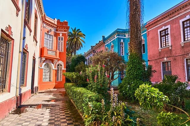 Private Walking Tour to Barrio Yungay Santiago