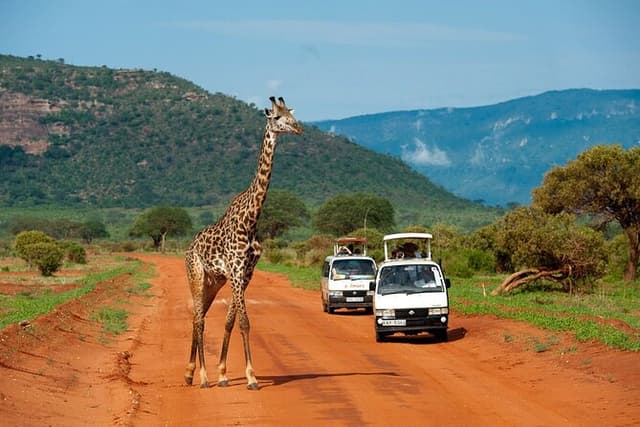 2 days Safari to Tsavo East using a Safari 4x4 Landcruiser jeep