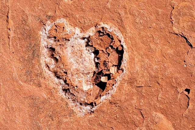 Private Sedona Vortex Odyssey Tour