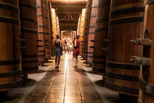 Private San Antonio Port visit Causiño Winery & Transfer to Hotel