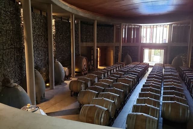 Private San Antonio Port, Visit Matetic Winery & Transfer Hotel