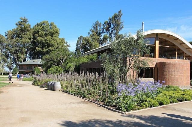 Private Tour World Biggest Organic Winery Emiliana and Valparaiso