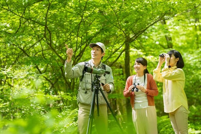 Wild Bird Sanctuary Forest Guided Tour in Nagano