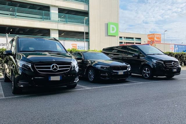 Private Transfer from Skagen Cruise Port to Aalborg Airport (AAL)