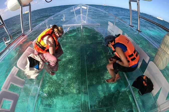 Best El Arco Boat Tours in Cabo