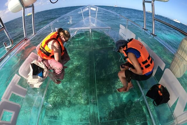 Cabo Clear Boat Tour to the Arch with Hotel Pickup Available