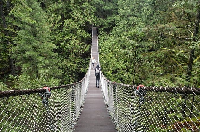 Lynn Canyon Park: Vancouver Nature Guide
