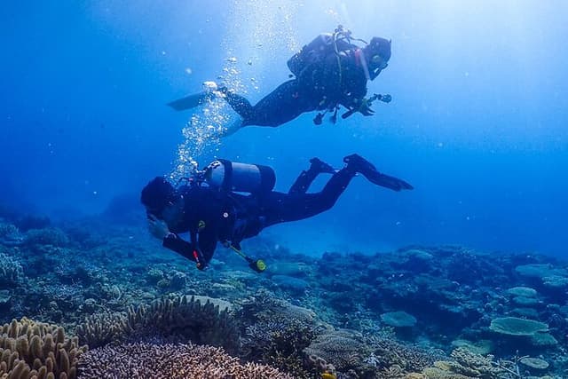Okinawa Scuba Diving For Certified Divers (3 boat dives + Lunch)