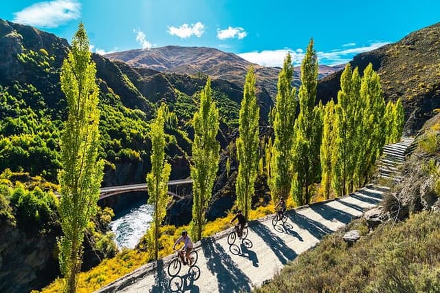 Bike The Wineries (Full-Day) - Bike & Wine Adventure