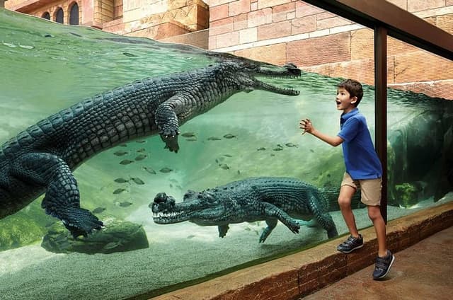 Singapore Bird Park & River Wonder (Tickets & Transfer )
