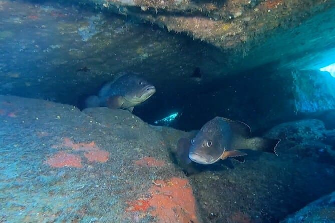 Best Tours: Capo Carbonara Marine Reserve