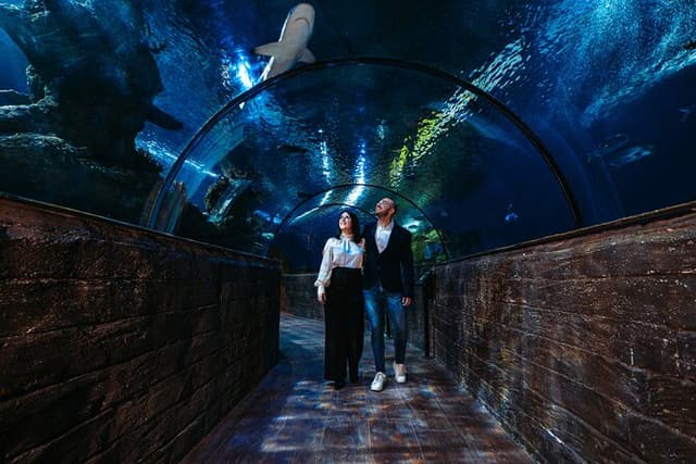 Malta National Aquarium Entrance Ticket