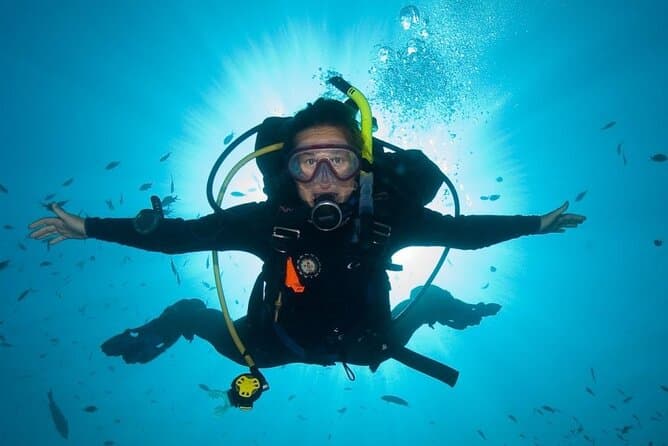 Top-Rated Scuba Tours in Funchal