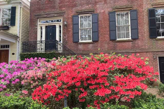 Walking Tour of Savannah's Must-See Sights