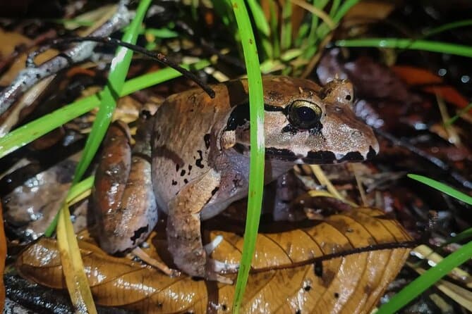 Bako National Park: Best Kuching Day Trips