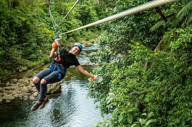 Best Rainforest & Coastal Tours from San Jose