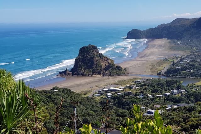 Piha Waitakere Rainforest Wine Tour from Auckland