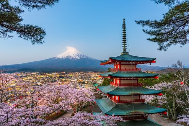 Mt. Fuji or Hakone Private Sightseeing Day Trip From Tokyo
