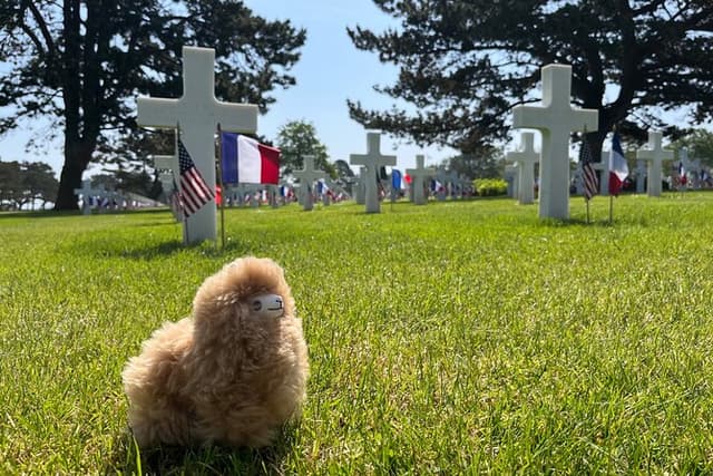 Normandy D-day landing beaches & Caen Memorial Private Tour