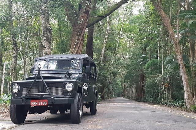 Rio: Botanical Garden and Tijuca Rainforest 4x4 Jeep Tour